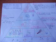 130_Moraru Cristina_CT Vlaicu BM